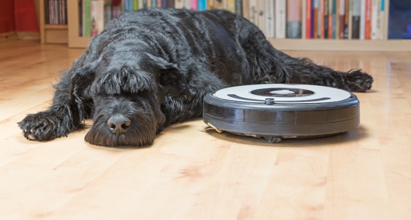 Hairy Dog & Top-rated Robotic Vacuum Cleaner