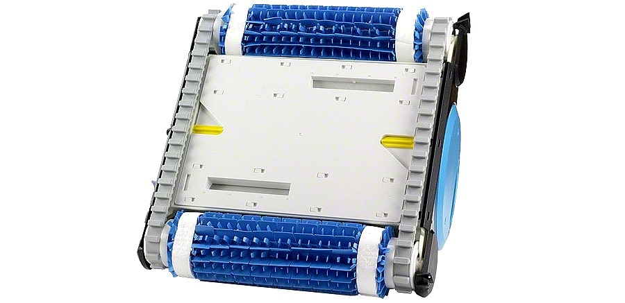 Bottom Nautilus