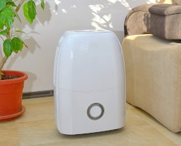 The Best Air Purifiers for Your Home - Our 2020 Reviews