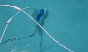 Hose is about to tangle during pool cleaning.