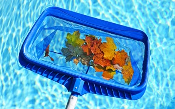 Pool skimmer at work.