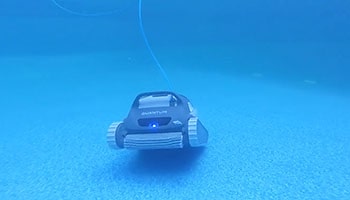 Dolphin Quantum Robotic Pool Cleaner