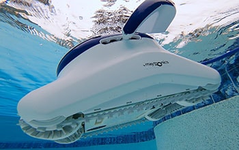 Sigma sinking to the bottom of the pool.