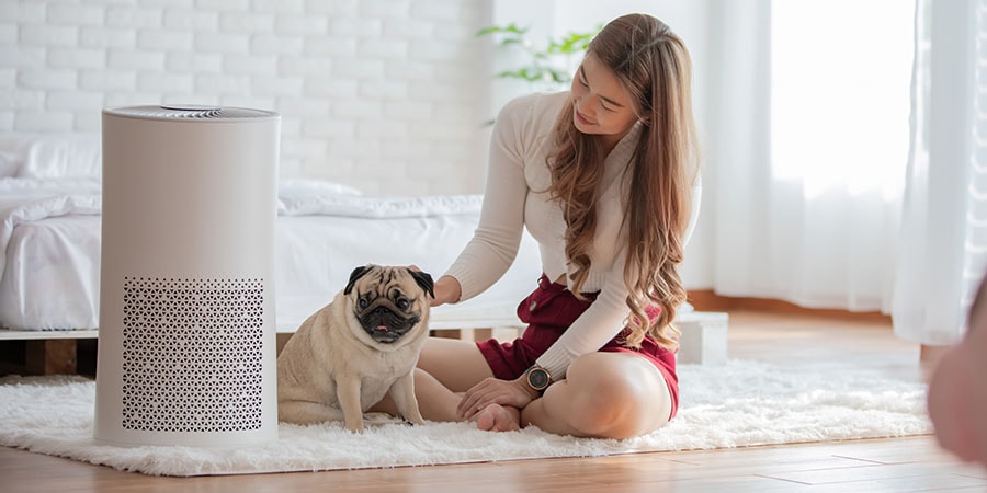 An air purifier standing near sitting young woman and a dog.
