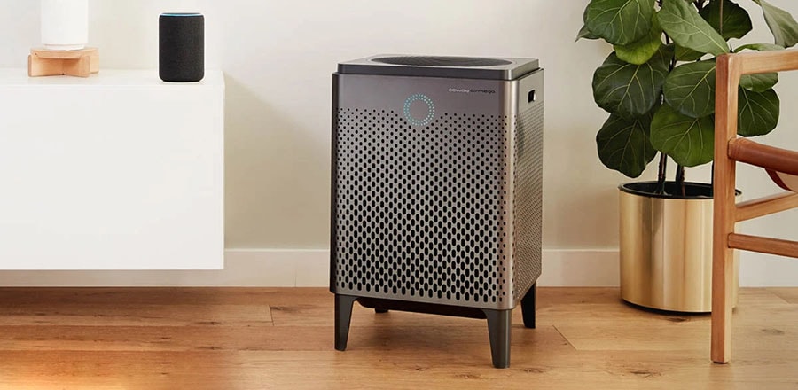 Best Air Purifiers For Living Room