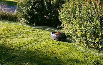 Do All Robot Lawn Mowers Need a Perimeter Wire?