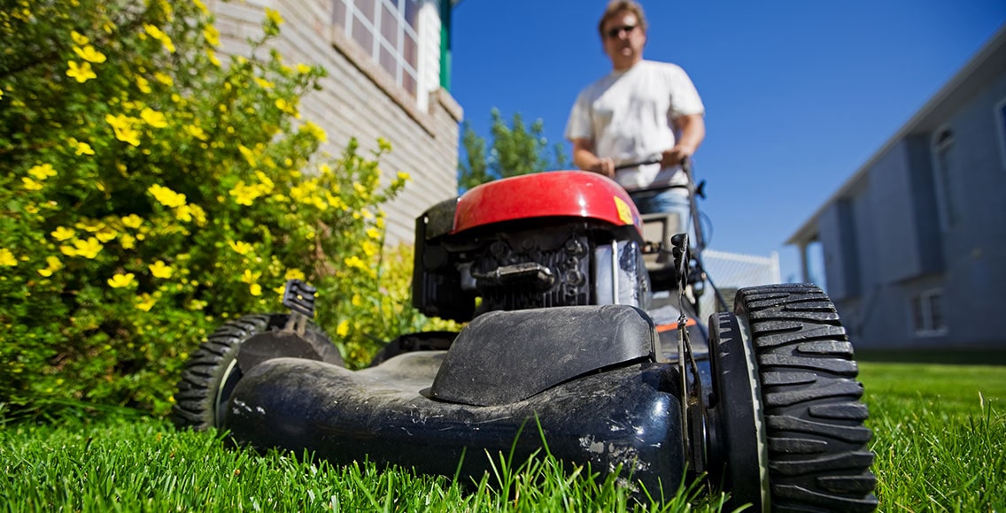 Man mows a lawn on his yard.