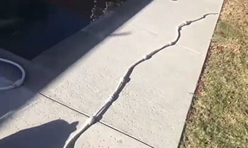 Hose laying on the sun to remove kinks.