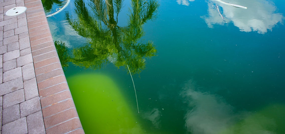 Cloudy water in the swimming pool