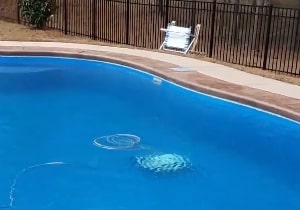 Polaris P965iQ Sport is cleaning the pool